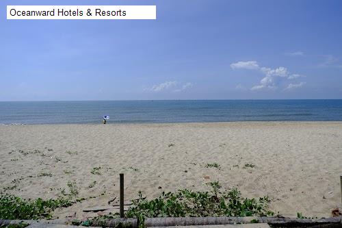 Chất lượng Oceanward Hotels & Resorts