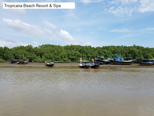 Hình ảnh Tropicana Beach Resort & Spa