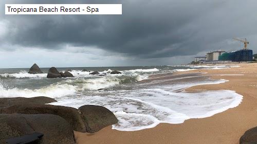 Hình ảnh Tropicana Beach Resort - Spa